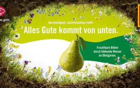 Alles Gute kommt von unten