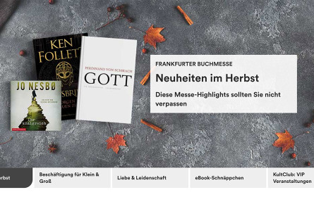 Neue Programmatic Advertising-Strategie für Thalia