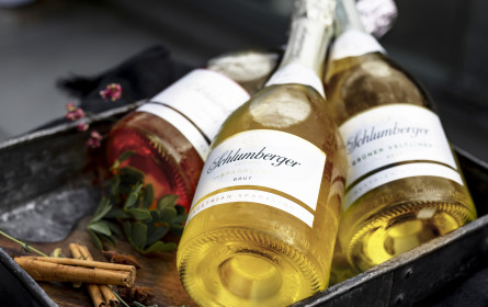 "Übersetzung" in die Sozialen Netzwerke