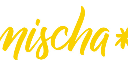 Mischa – Medien in Schule und Ausbildung