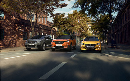 MVC Motors verkauft nun auch Peugeot