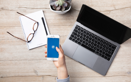 LinkedIn: punkt & kommas Business-Netzwerk Nr. 1