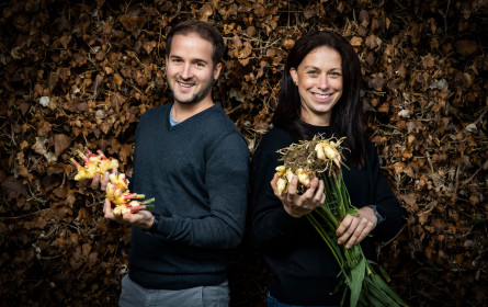 Frischer Bio-Ingwer aus der Steiermark ab sofort bei Spar