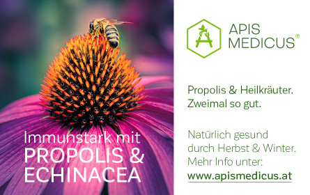 Apis Medicus – Entstehung und Hintergrund