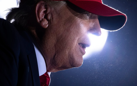 Donald Trump schlägt Sebastian Kurz bei Präsenz in österreichischen Tageszeitungen