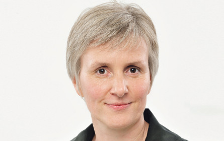 Die volle Verantwortung