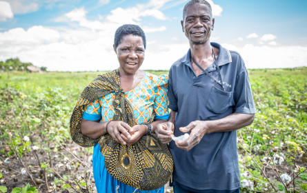Lidl ist Partner der Initiative "Cotton made in Africa"