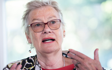 Dunkles Jahr 2020 für die Pressefreiheit, auch in Österreich