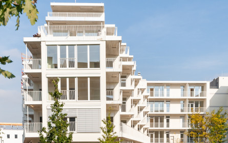 Immo Solutions und Wins Bioladen – sozial engagiert