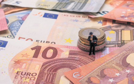 Was die Österreicher heuer beim Geld planen