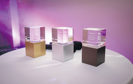 Vamp Award ist ausgeschrieben