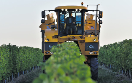 Intelligent Food for Intelligent People