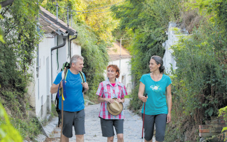 Das Jakobsweg-Jubiläum