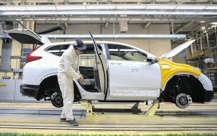 Virus globales Problem