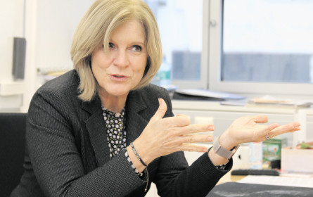 Noch mehr Analysen, noch mehr Hintergründe