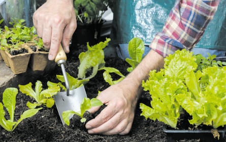 Auch beim Garteln zählt Nachhaltigkeit