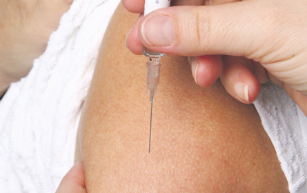 Pharmariese Pfizer forscht mit Biotech-Firma