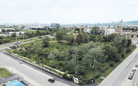 650 „frische” Wohnungen