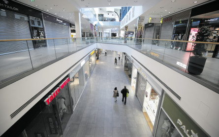 Was darf alles drin sein im Einkaufswagerl?