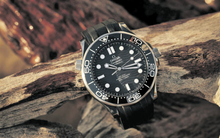 Der edle Tick hat Hochkonjunktur