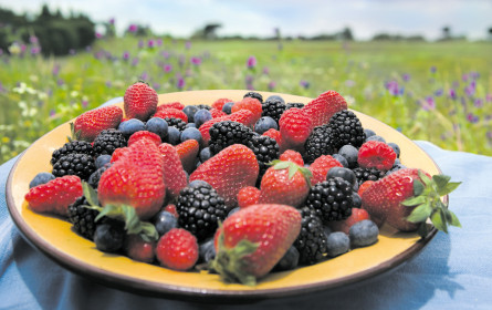 Keine Totalausfälle