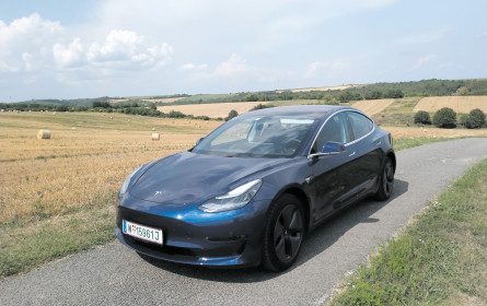 Model 3: Elons großer Wurf