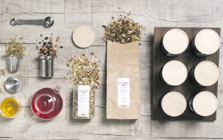 „Da Salzburger” wächst