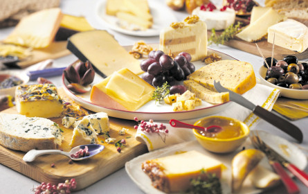 Lidl zelebriert Käsevielfalt 