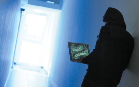 Der Schutz ist löchrig