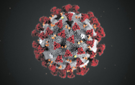 Wie nachhaltig verändert ein Virus unsere Branche?