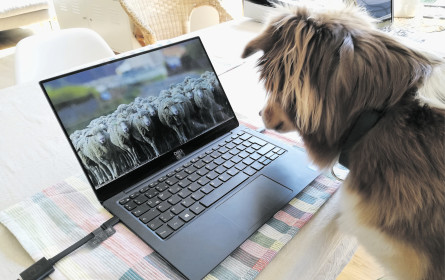 „Mit Weihnachten und Silvester vergleichbar”