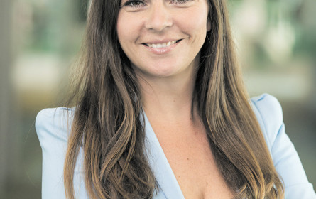 Rosenarcade stärkt Region