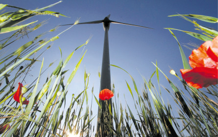 Ernsthaft nachhaltig