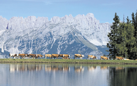 Regionalitätstrend erhält Aufwind 