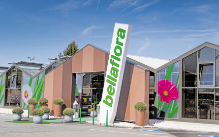 Hochkonjunktur für grüne Daumen