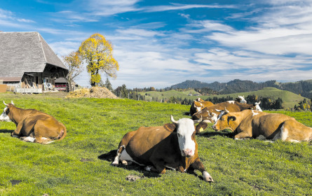 Inspiration für die Gastrokunden