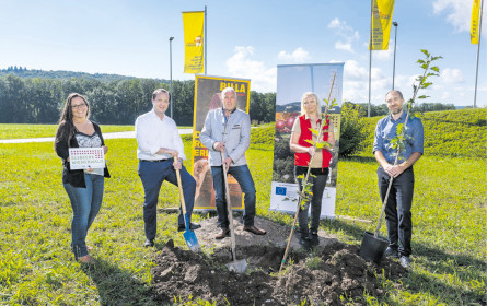 Billa pflanzt Bäume im eigenen Garten