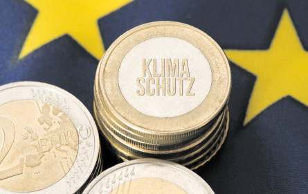 Geld schützt das Klima