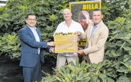 Neue Regionalität mit lokalem Schub