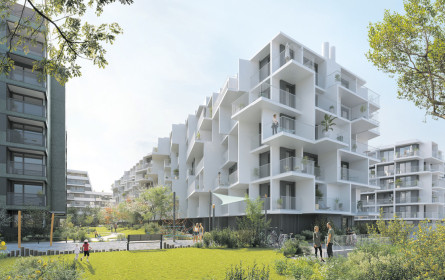 Eine grüne Wohnoase