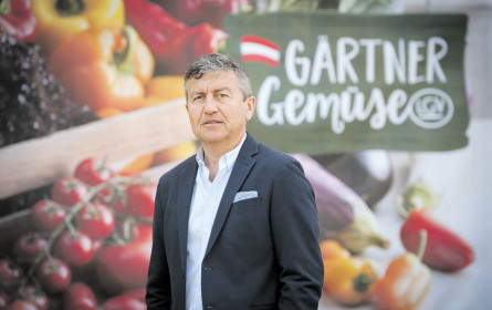 „Regionale Versorgung steht im Vordergrund”