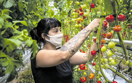 Konsumgüterlandschaft im nachhaltigen Wandel