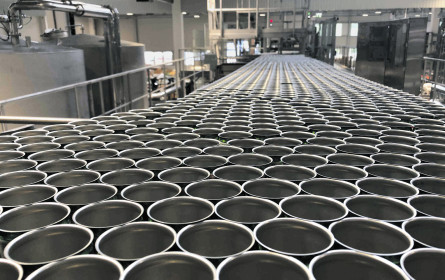 Spitz baut auf dicke Dosen