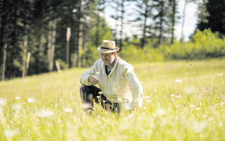 Startschuss für Apis Medicus