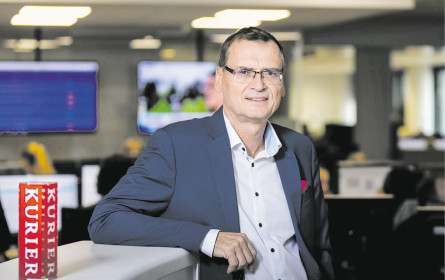 Stark in der Stammregion