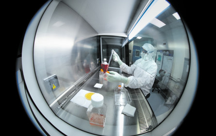 Das lange Warten auf die Impfung gegen die Krise