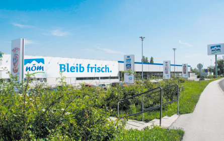 „Jetzt geht wieder das Hamstern los”