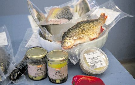 Start für Mörwald Markthalle