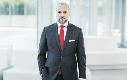 Palmers hat sich warm angezogen