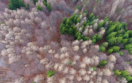 Zukunftsfähiges Portfolio mit ETFs